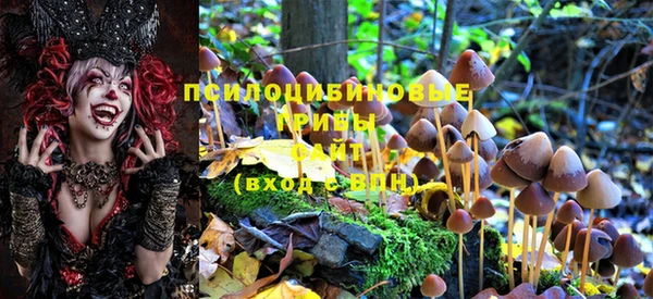 MESCALINE Алзамай